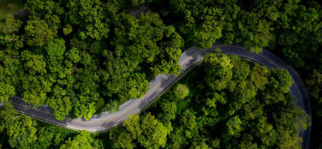 shippers from detroit